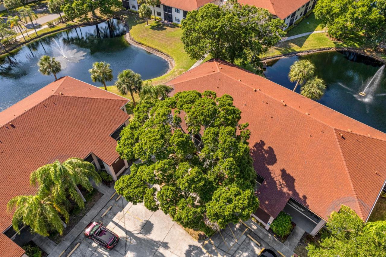 Palm Lagoon Bradenton Kültér fotó